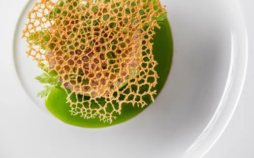 Restaurant-Havlit_Faaborg-Fjord_Stenbidderrogn med persille.webp