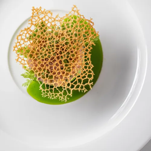 Restaurant-Havlit_Faaborg-Fjord_Stenbidderrogn med persille.webp