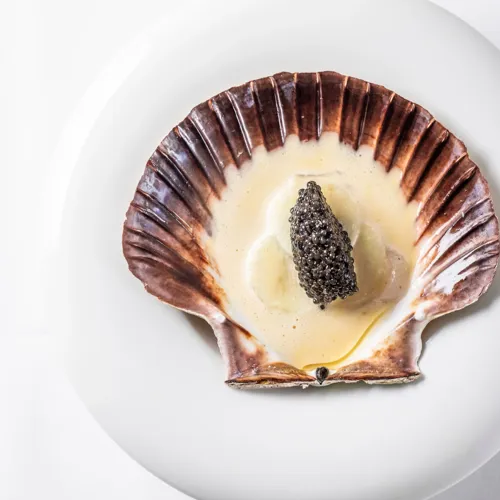 Restaurant-Havlit_Faaborg-Fjord_Gourmet musling med kaviar.webp